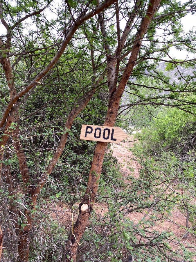 Baviaanskloof Laaste Kamp - Wild Bush Camping Sandvlakte Exterior foto